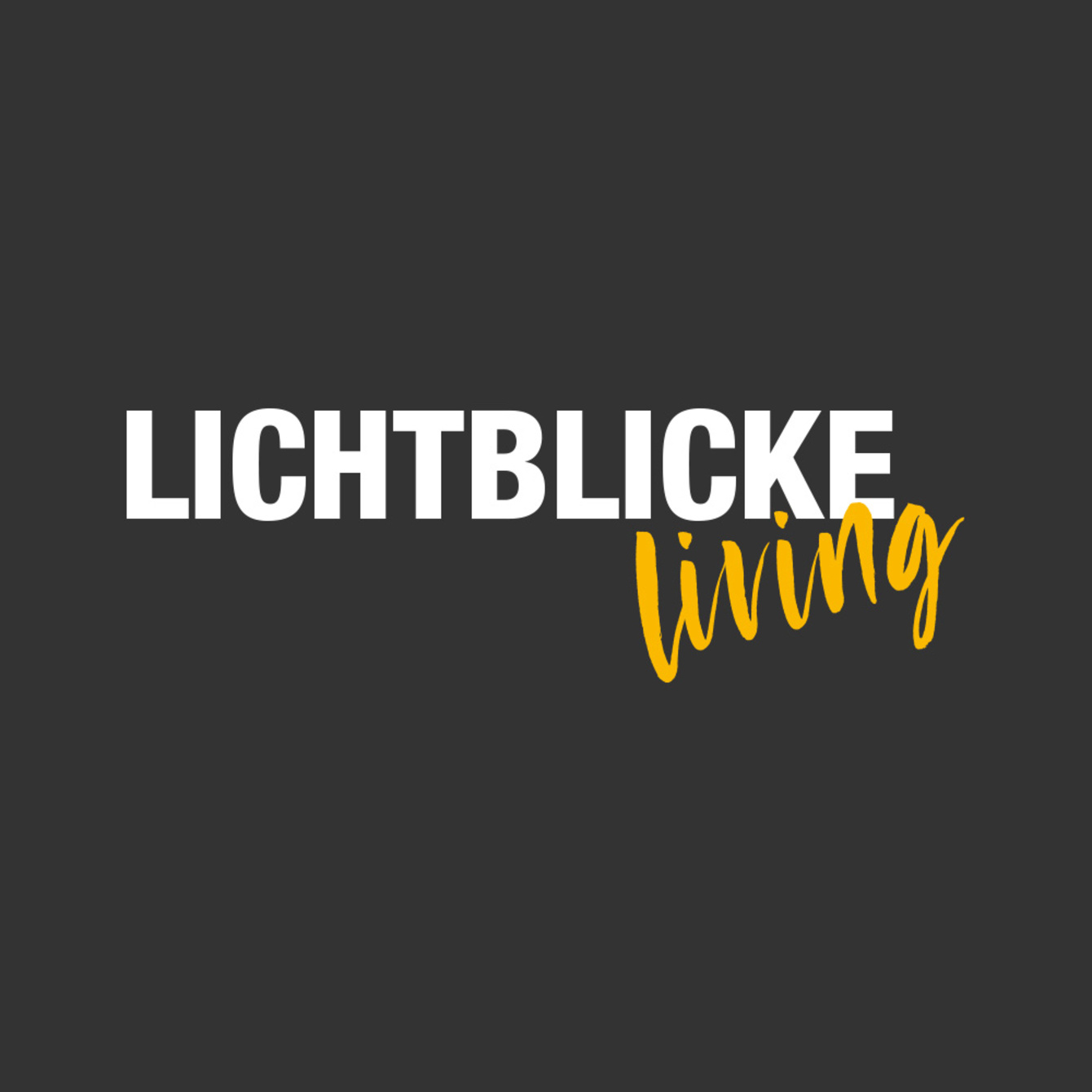 Lichtblicke Katalog bei Höfer Stefan Elektroanlagen in Holzkirchen